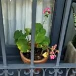 KEEP TESTIN A GREAT PLATFORM