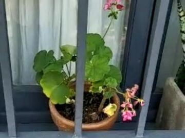 KEEP TESTIN A GREAT PLATFORM